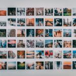 free stock images