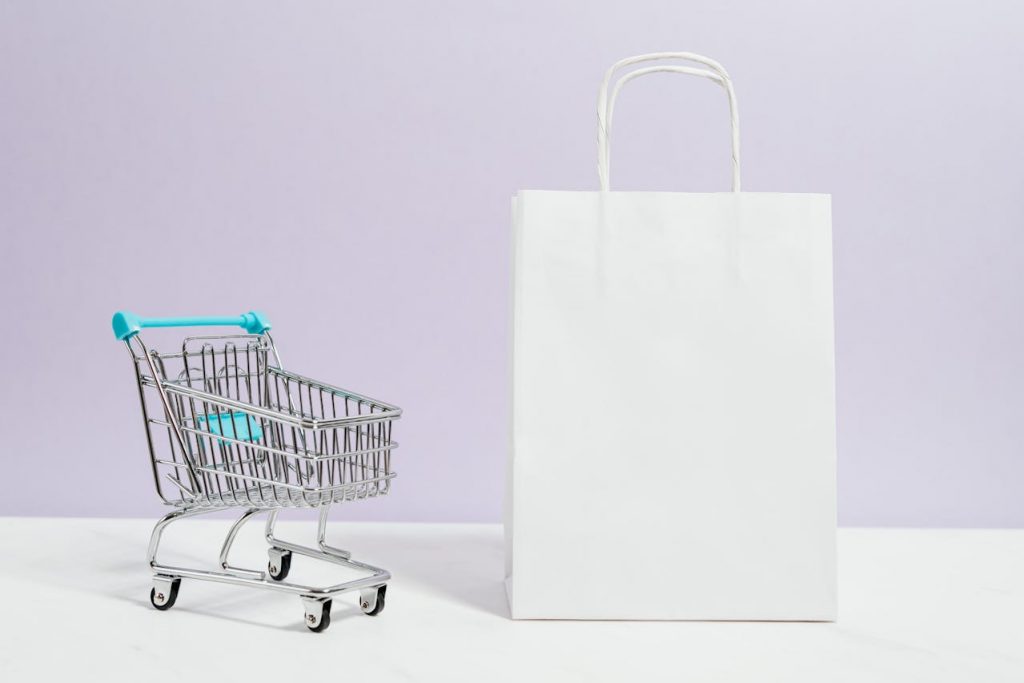 Launch WooCommerce Store with WP-b2a5e76c