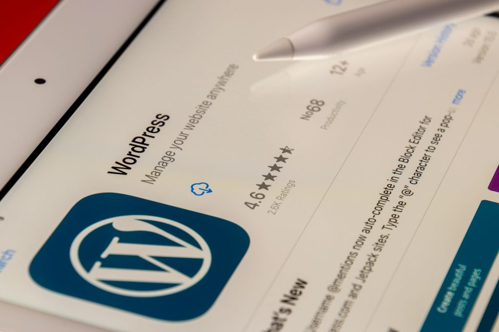 Top Tips For A WordPress Developer: How To Start And Get Clients