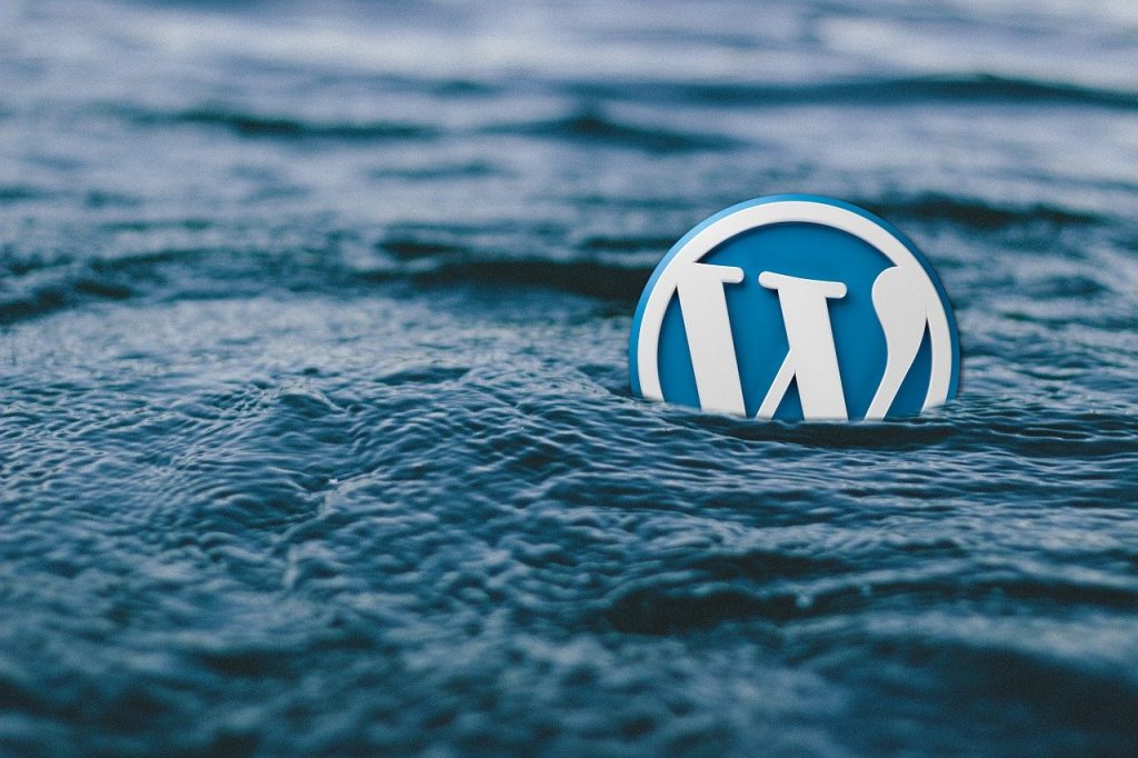 8 Types of Wordpress Plugins You Need For Your Business