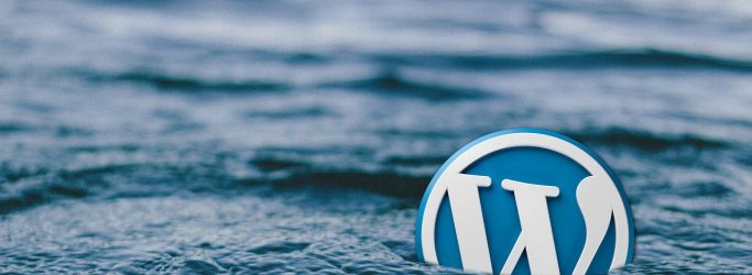 8 Types of Wordpress Plugins You Need For Your Business