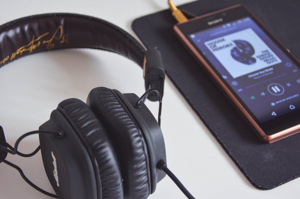 Why Music App Development Is a Successful Business Idea?