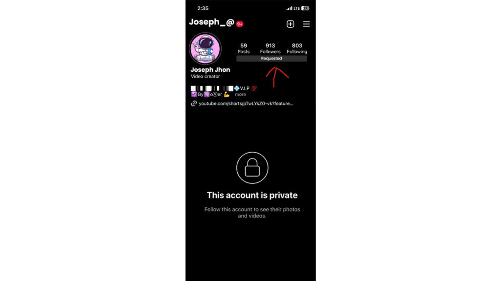 Is There a Way To View Private Instagram Profiles Tricky Enough