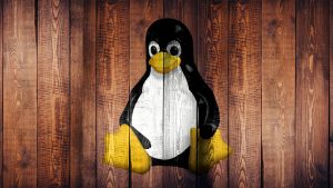 How do you run a Background Process in Linux?