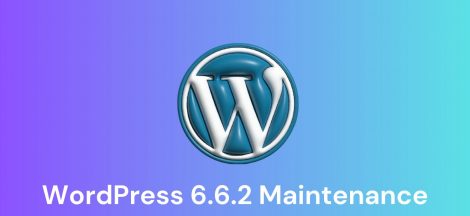 WordPress 6.6.2 Maintenance Release Fixes 26 Bug Issues