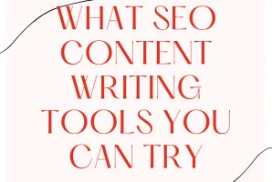 What SEO Content Writing Tools you can try in 2025?